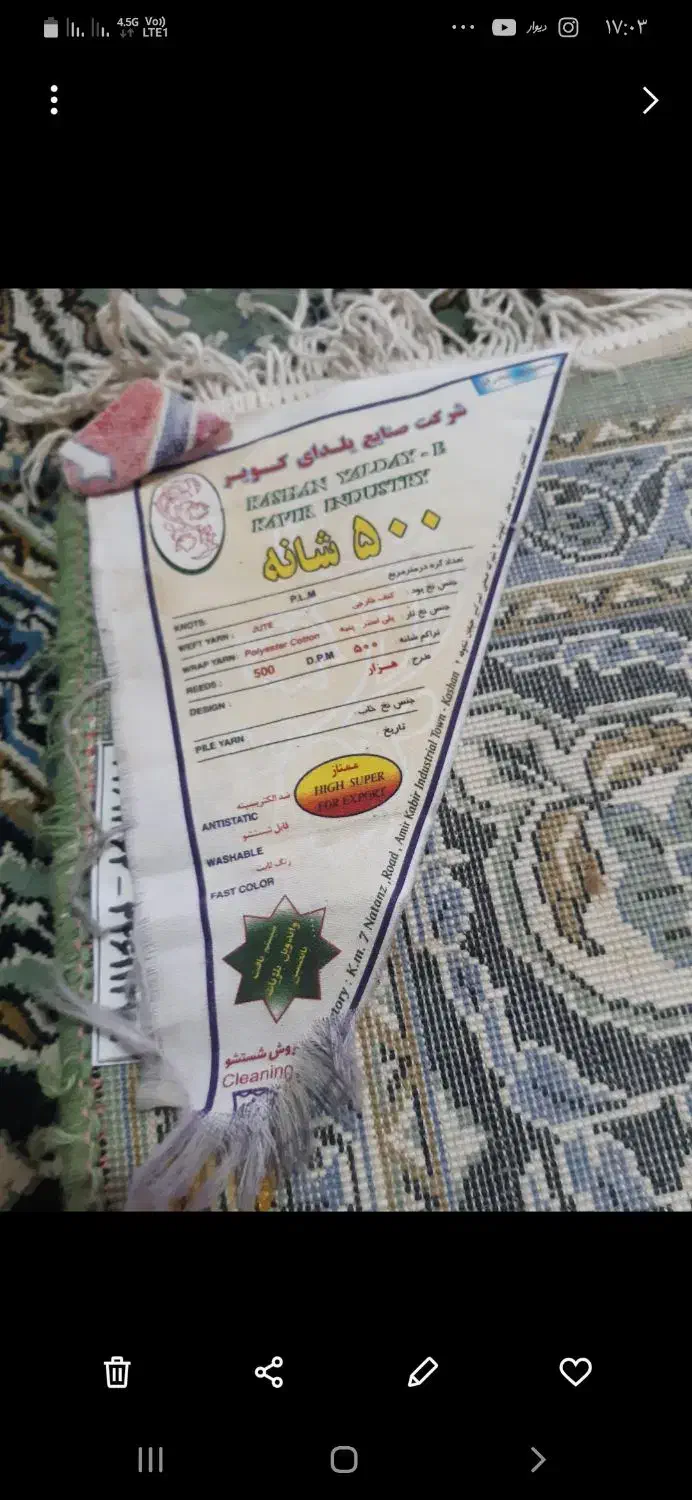 قالی|فرش|شوشتر, |دیوار