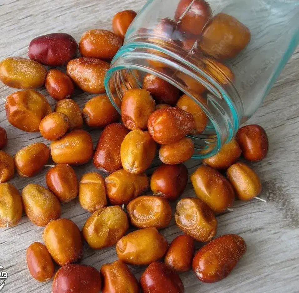 تولید نهال سنجد قزل|خدمات باغبانی و درختکاری|خوسف, |دیوار