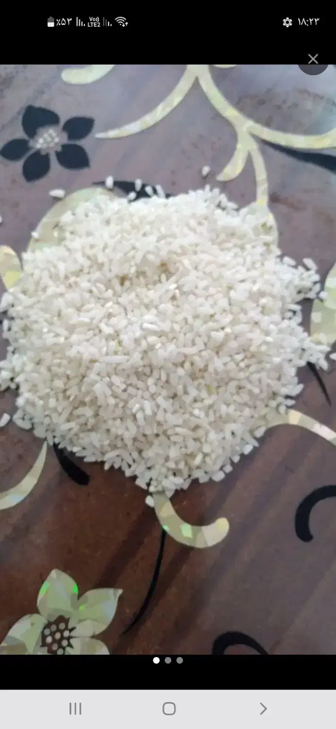 نیم دانه صدری سورت شده|خوردنی و آشامیدنی|رشت, فلسطین|دیوار