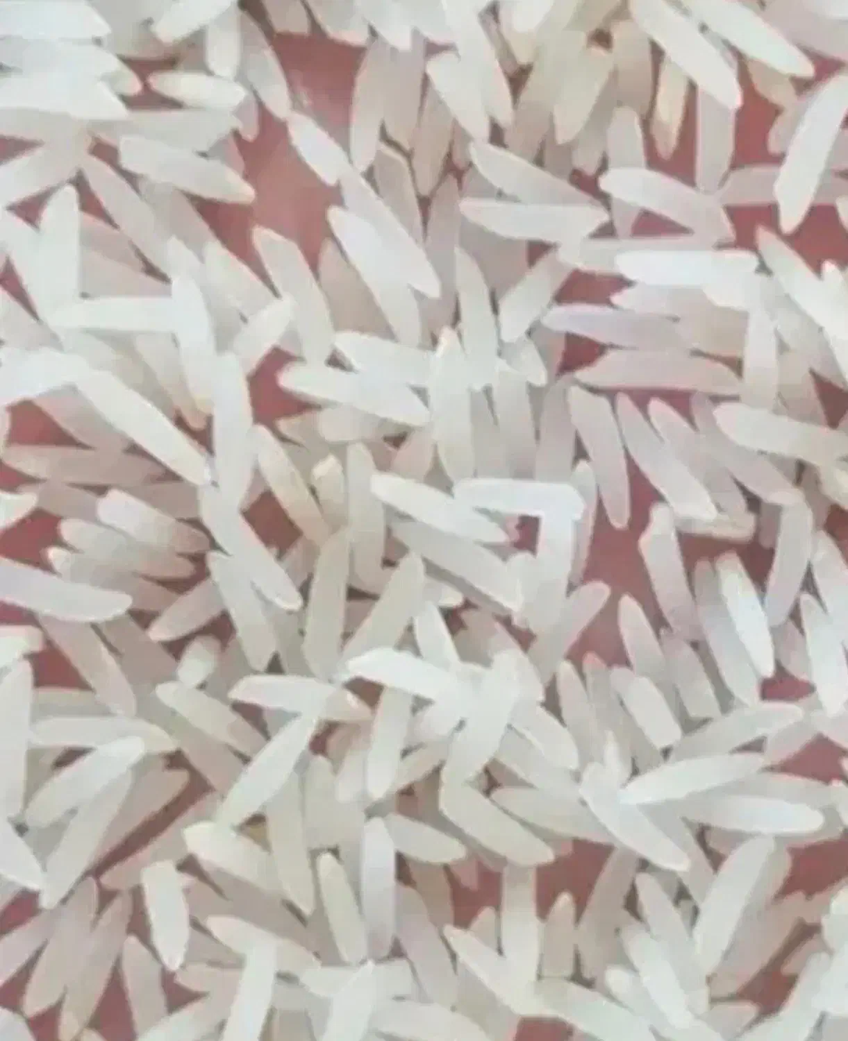 برنج سوزنی /اعلا/سوزنی/طارم/برنج فجر|عمدهفروشی|امامزاده عبدالله, |دیوار