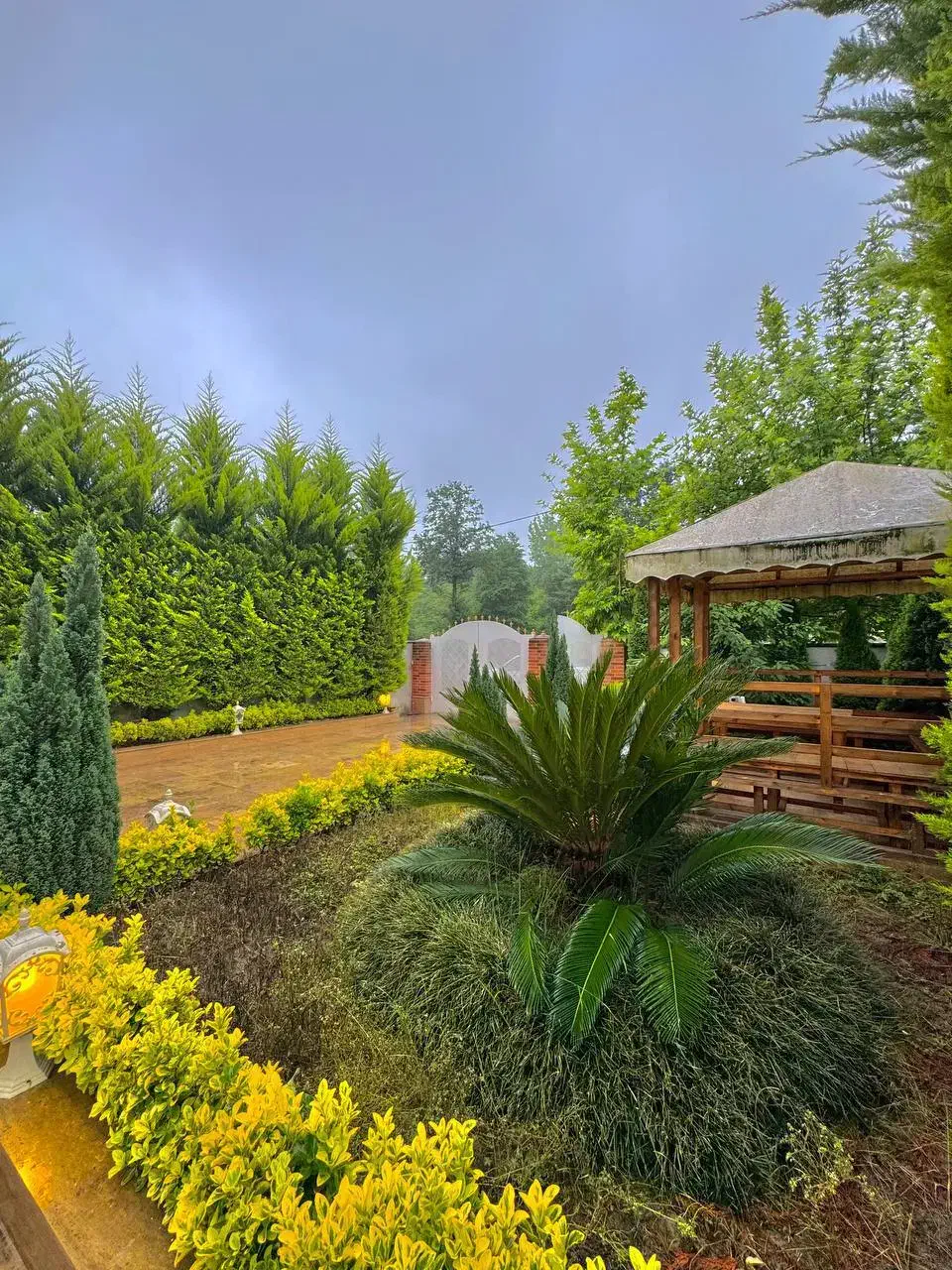 فروش ویلا دوبلکس با ویو ابدی جنگل و فول مبله|فروش خانه و ویلا|رویان, |دیوار