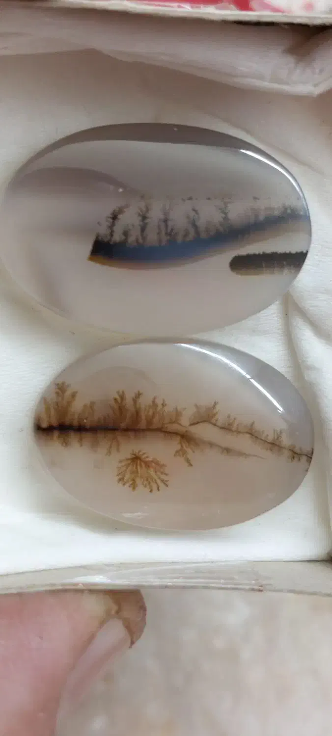 سنگ شجر|جواهرات|شیراز, باغ تخت|دیوار