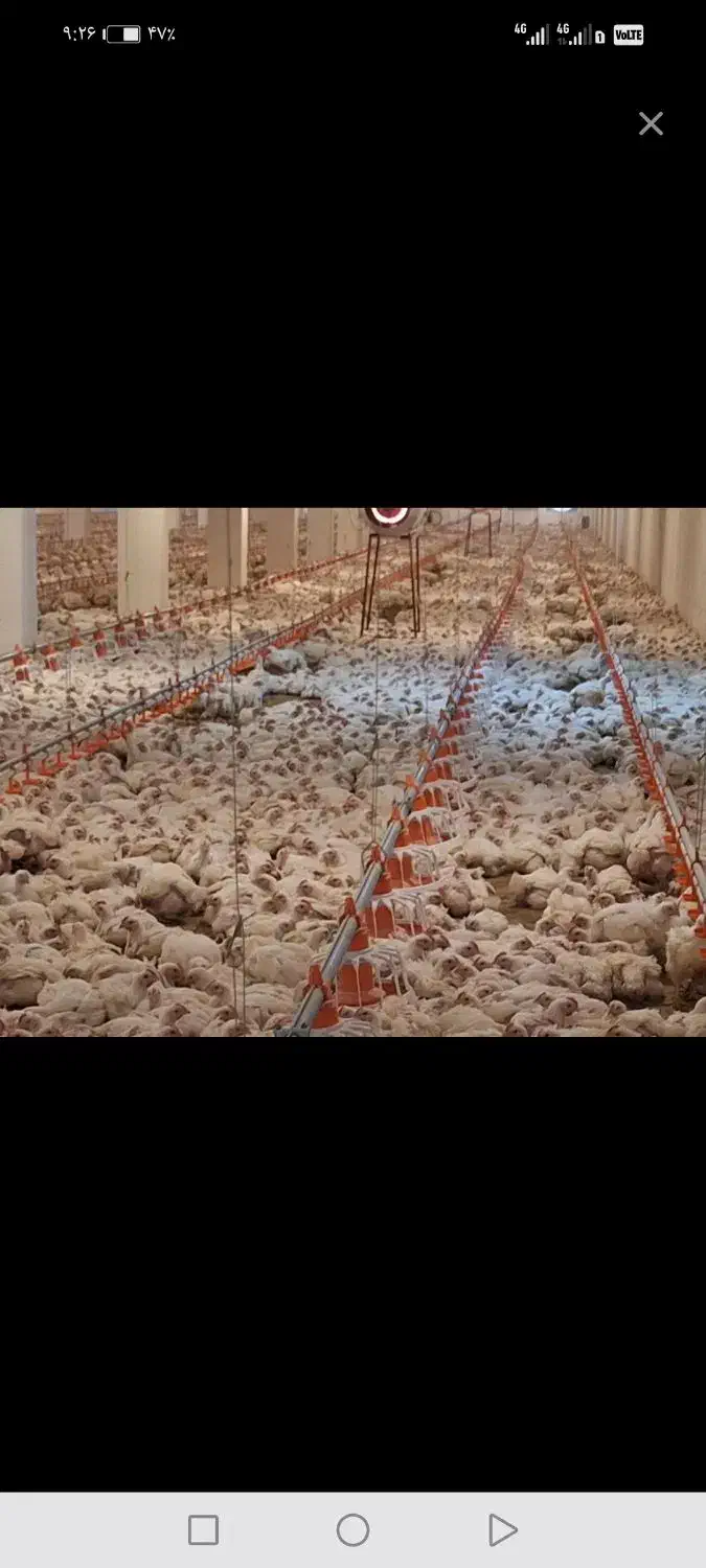 استخدامی کارگر ساده|استخدام صنعتی، فنی، مهندسی|نقده, |دیوار