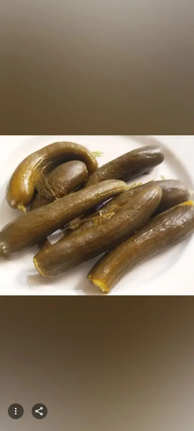 خیارشور|خوردنی و آشامیدنی|پارسآباد, |دیوار