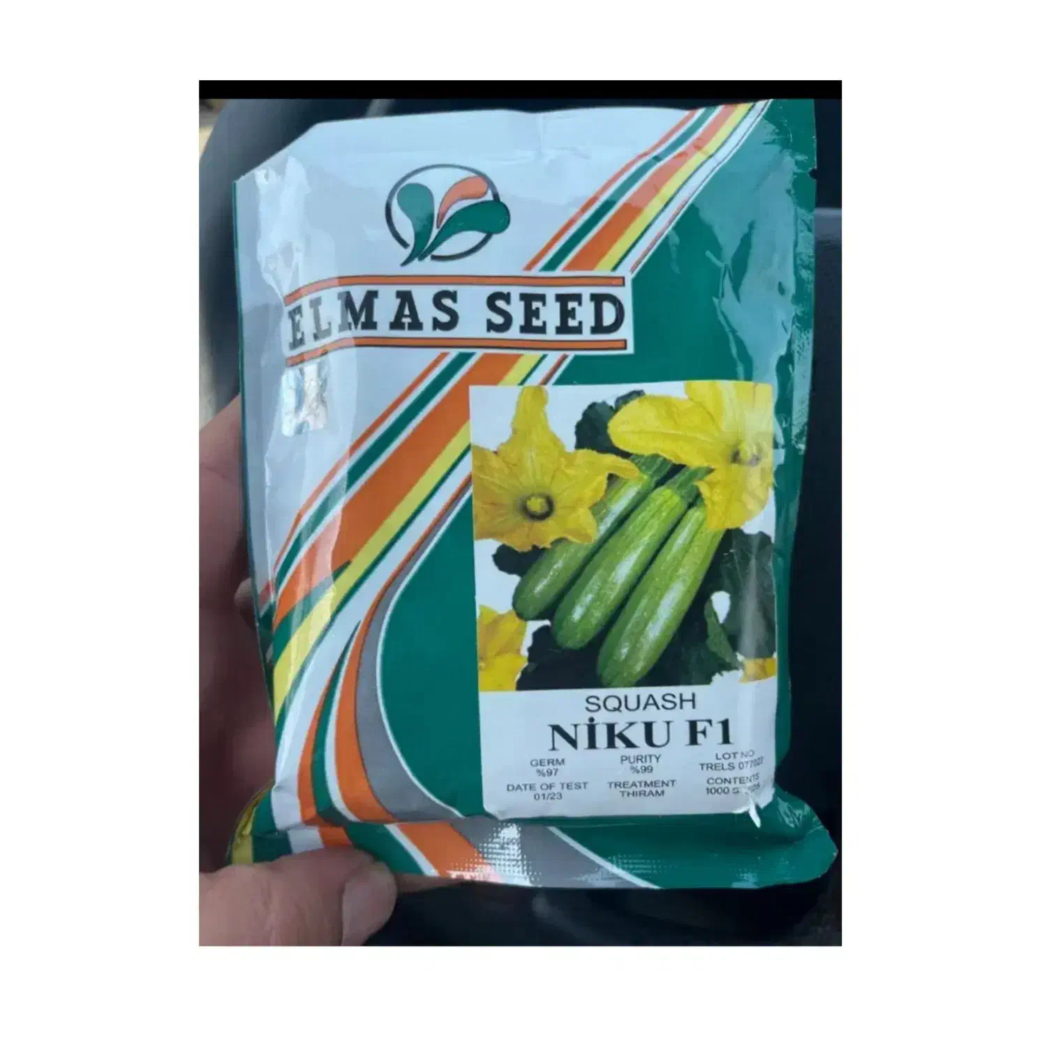 بهترین رقم های کدو خورشتی خارجی|حراج|جیرفت, |دیوار