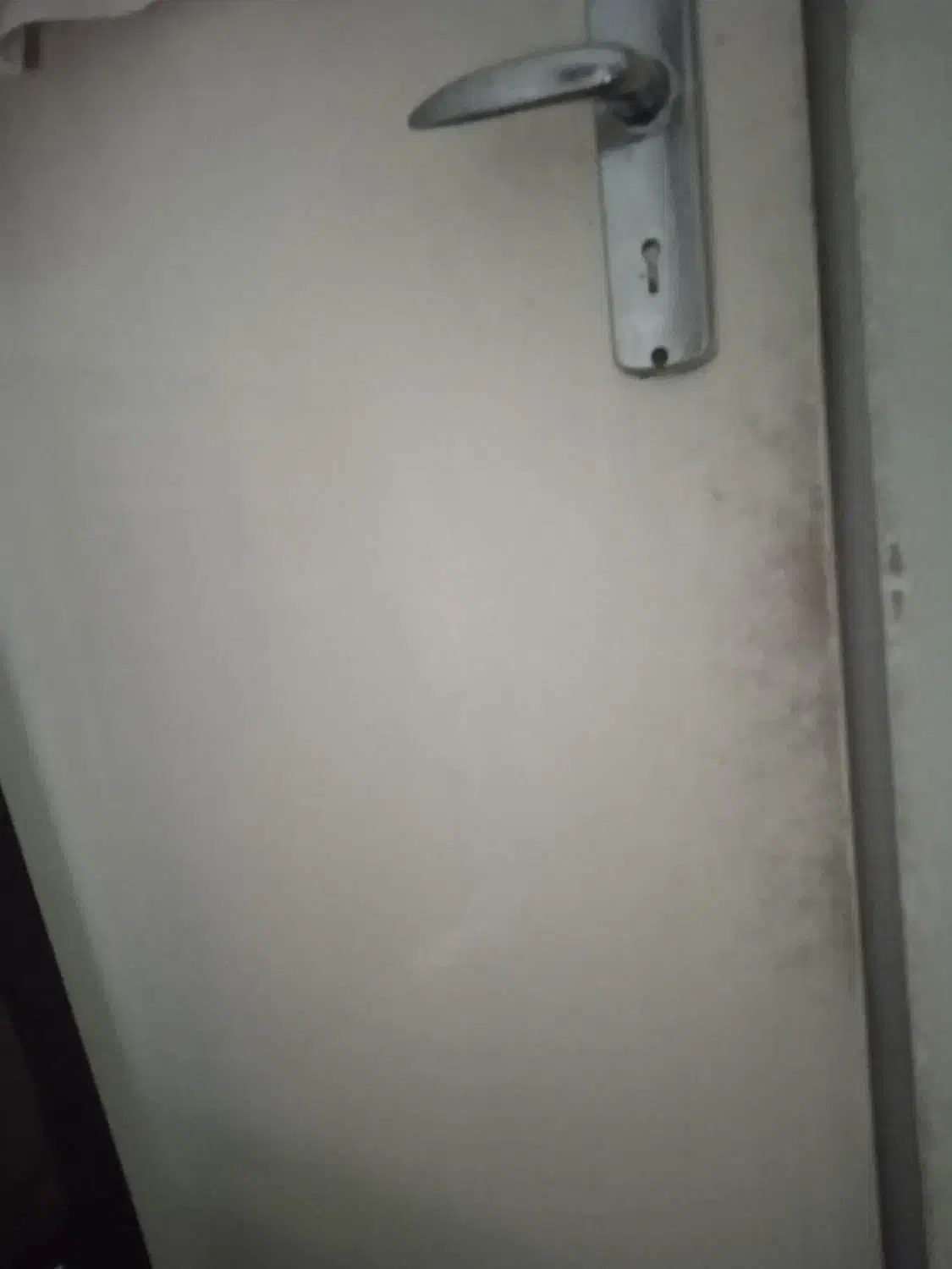 درب دوتیکه روی لولوه طرح قدیم|مصالح و تجهیزات ساختمان|ارومیه, |دیوار