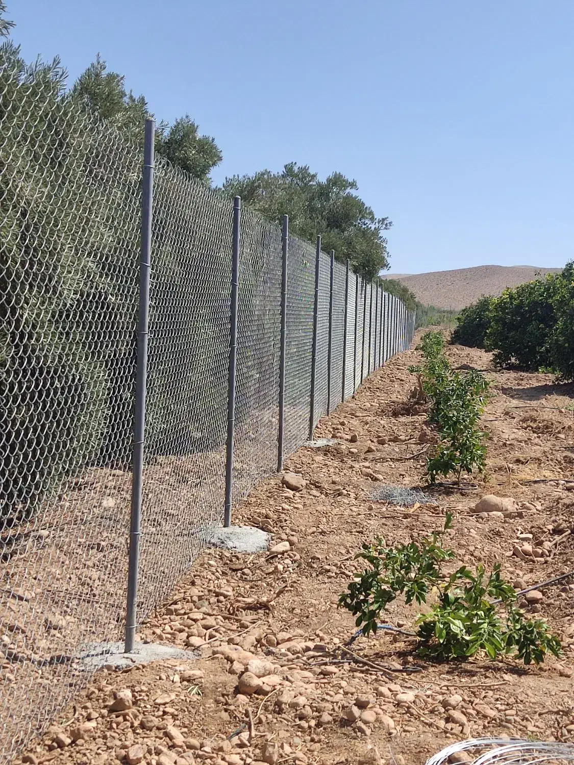 فنس کشی|خدمات باغبانی و درختکاری|داراب, |دیوار