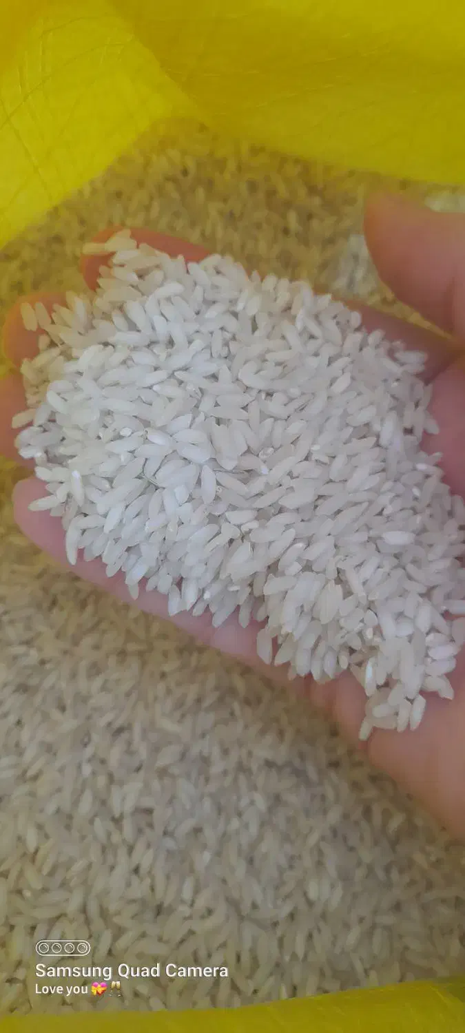 برنج عنبر بو درجه یک|خوردنی و آشامیدنی|شوشتر, |دیوار