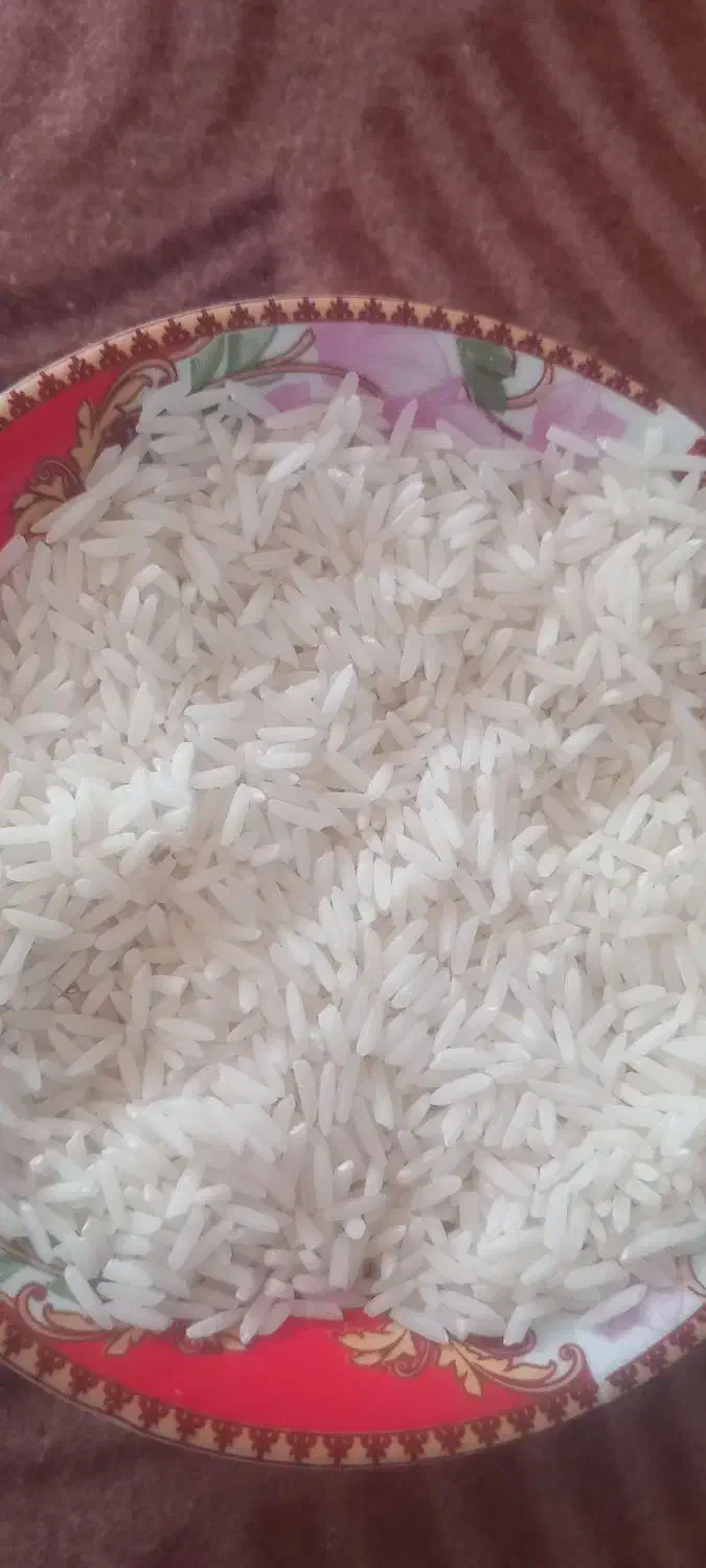 سلام 270کیلوبرنج طارم دم سیاه|خوردنی و آشامیدنی|آق قلا, |دیوار