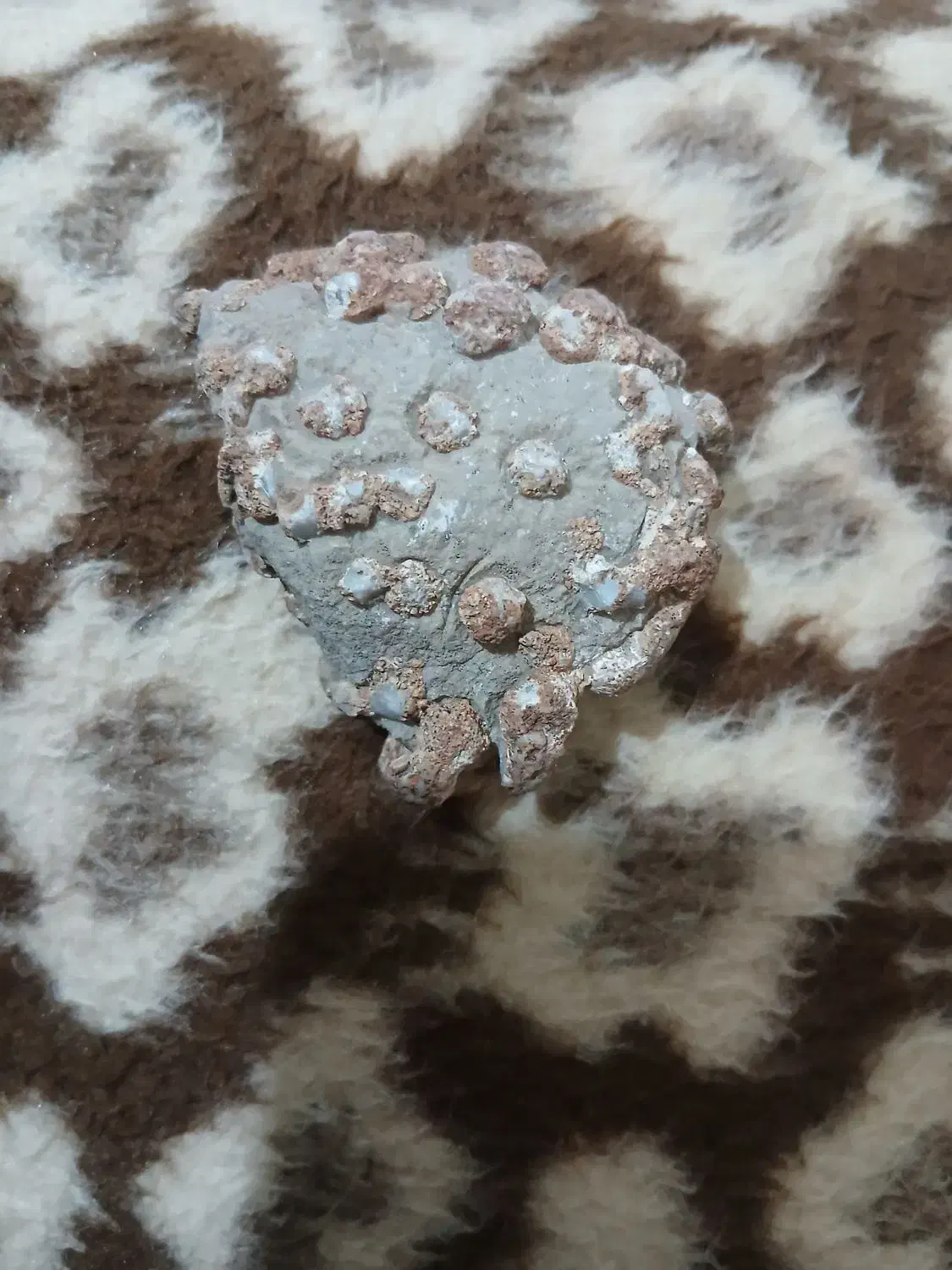 سنگ کلکسیونی فروشی|کلکسیون اشیاء عتیقه|فسا, |دیوار