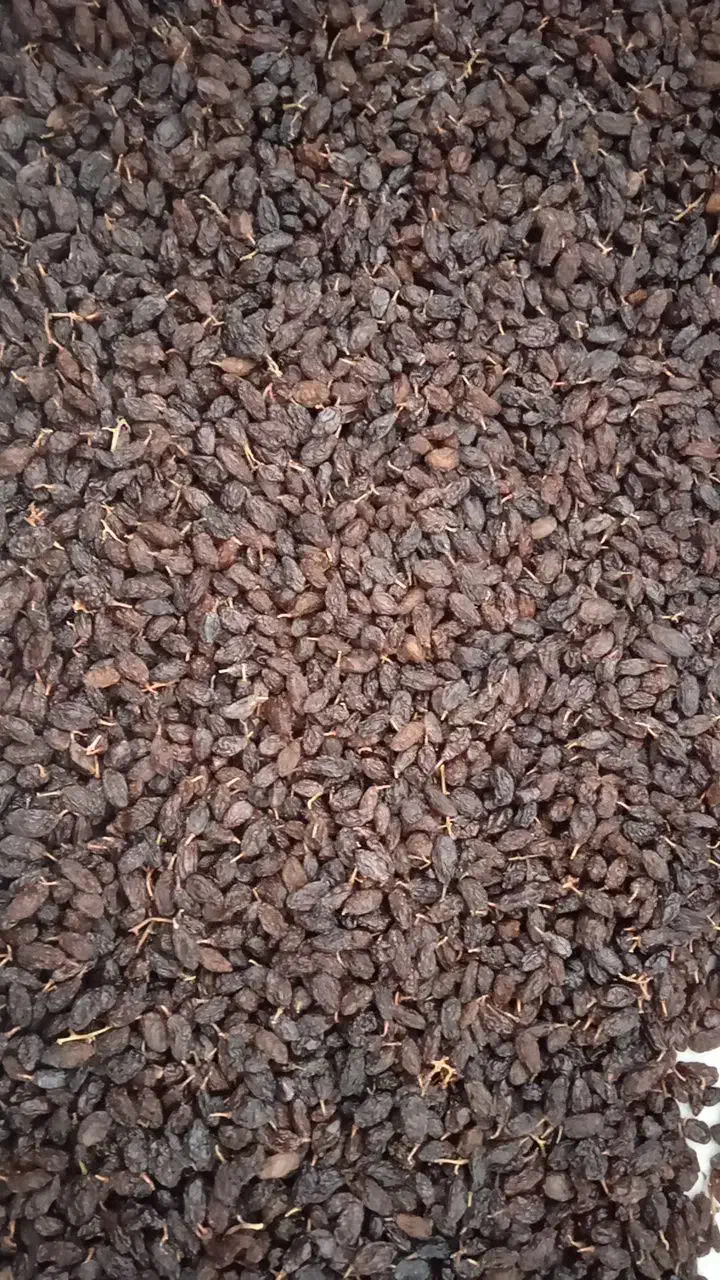 فخری پاک شده|خوردنی و آشامیدنی|میاندوآب, |دیوار