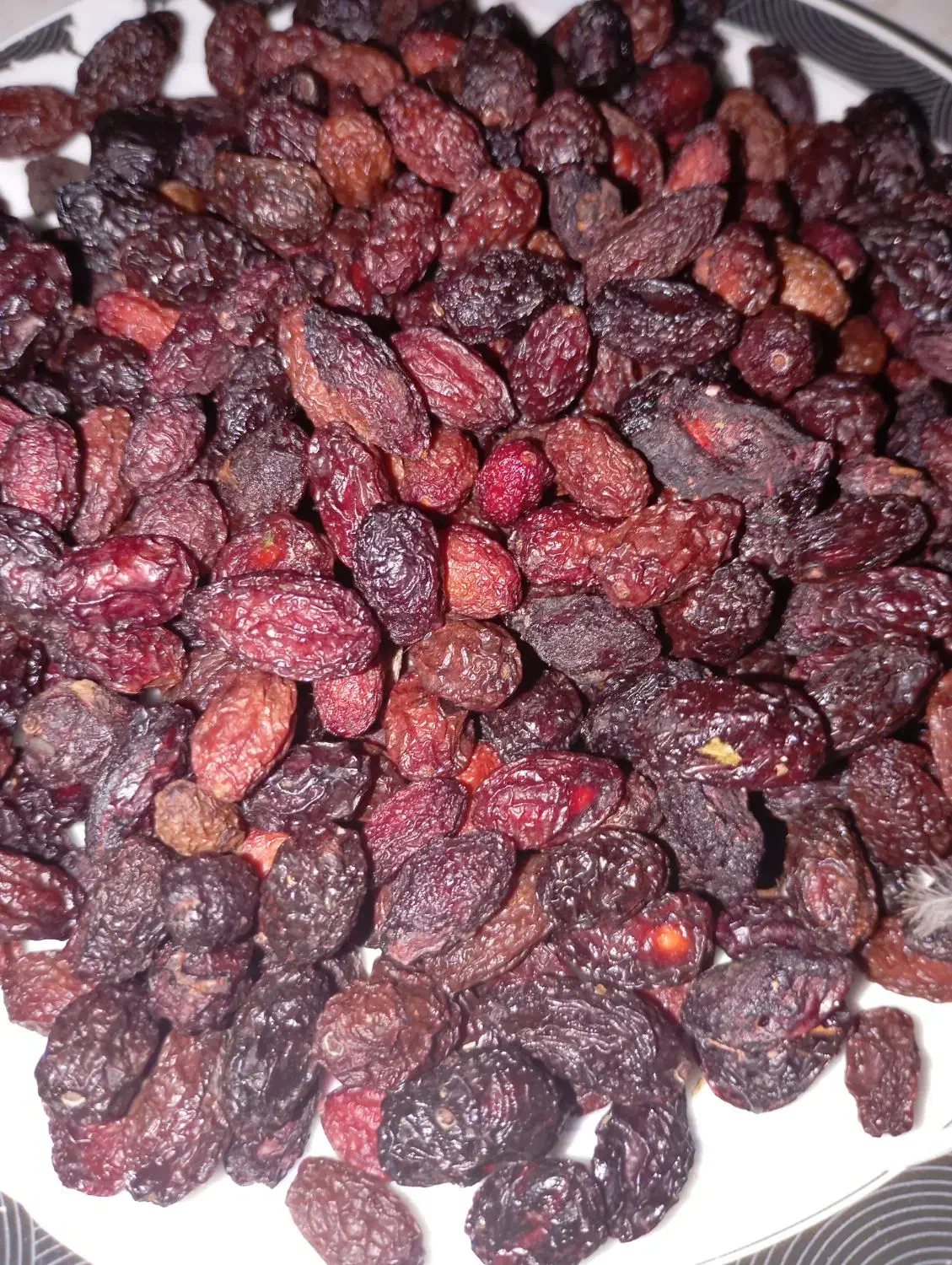 زغال اخته|خوردنی و آشامیدنی|قزوین, |دیوار