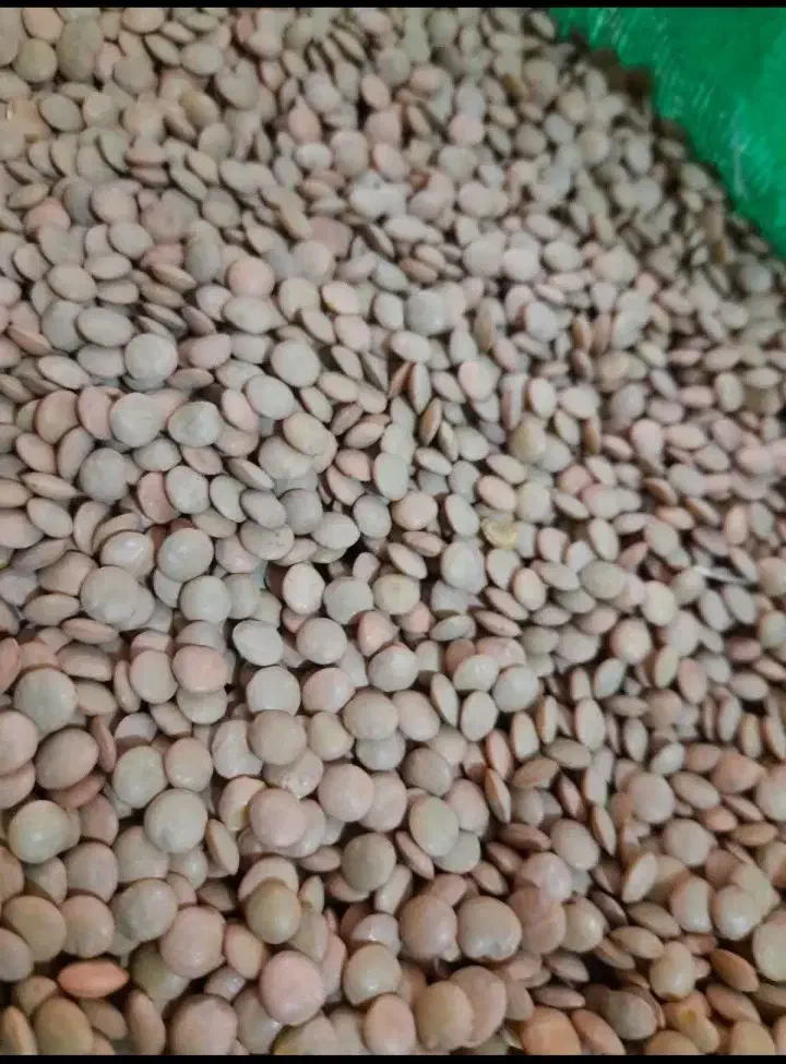 برنج و حبوبات مناسب تراز همه جا نیمدانه۱۷۰|خوردنی و آشامیدنی|بروجرد, |دیوار