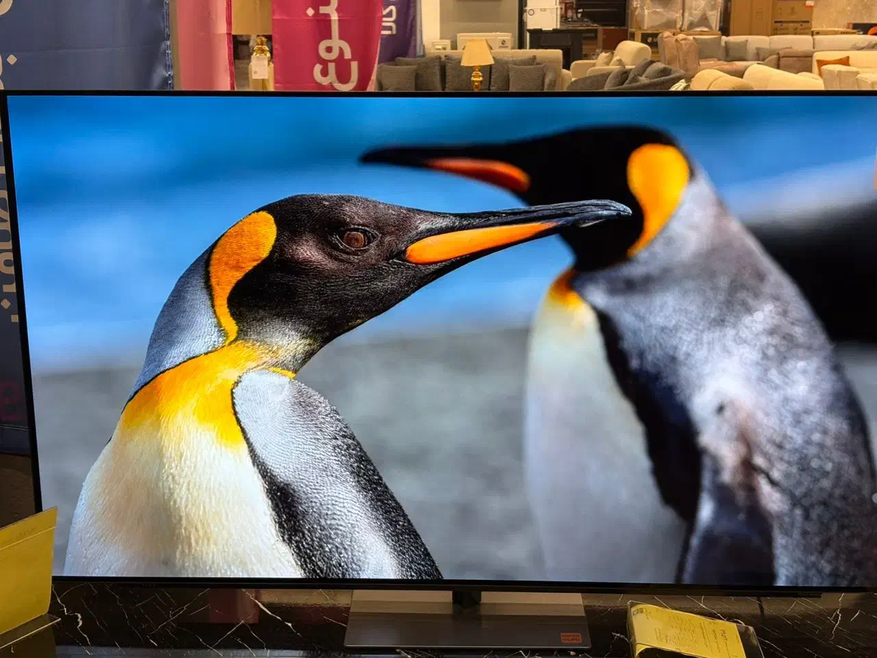 تلویزیون|تلویزیون و پروژکتور|شهرکرد, |دیوار