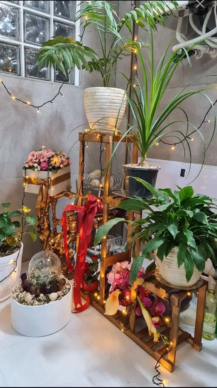 استند پایه گل روسی|گل و گیاه طبیعی|مشهد, شهید احمدی روشن|دیوار