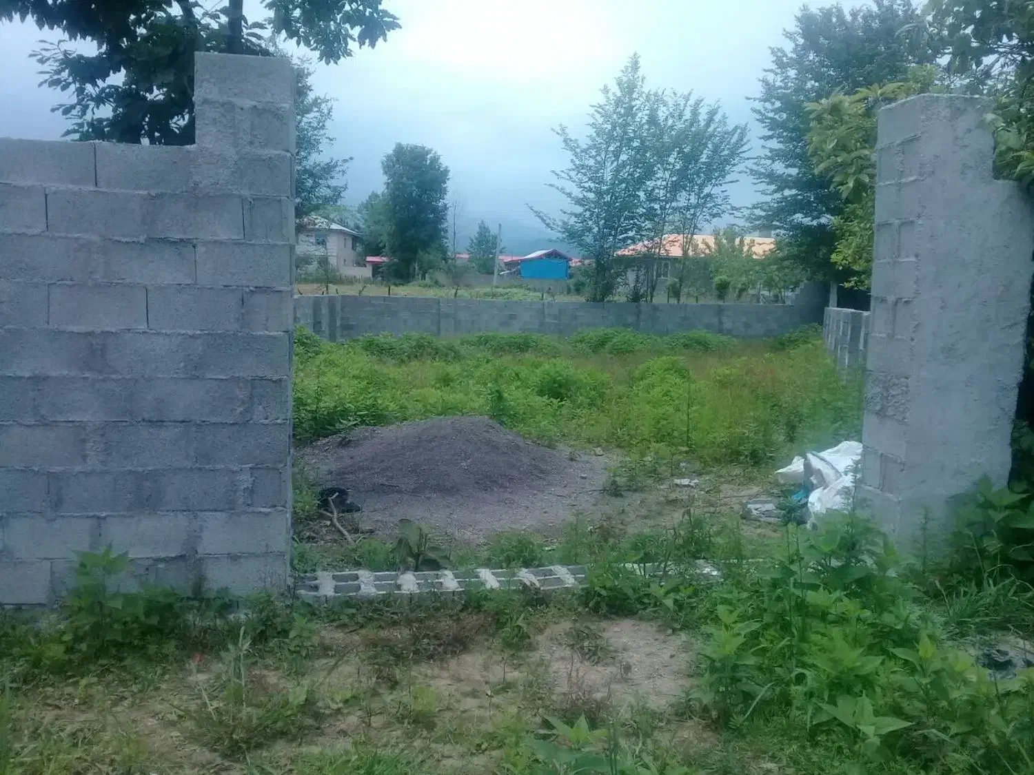 فروش فوری زمین|فروش زمین و ملک کلنگی|گوراب زرمیخ, |دیوار