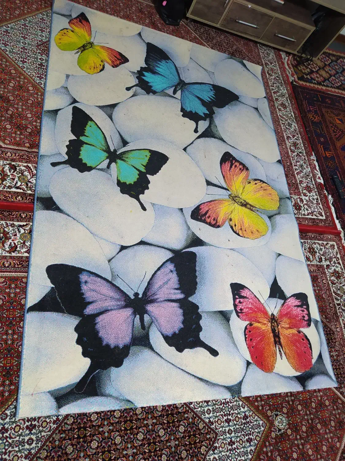 فرش اتاق خواب|فرش|زنجان, |دیوار