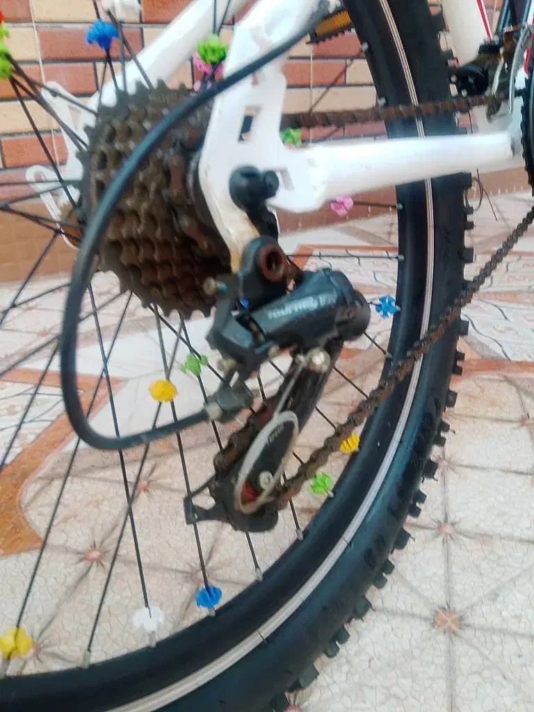 دوچرخه ویوا نو|دوچرخه، اسکیت، اسکوتر|شادگان, |دیوار