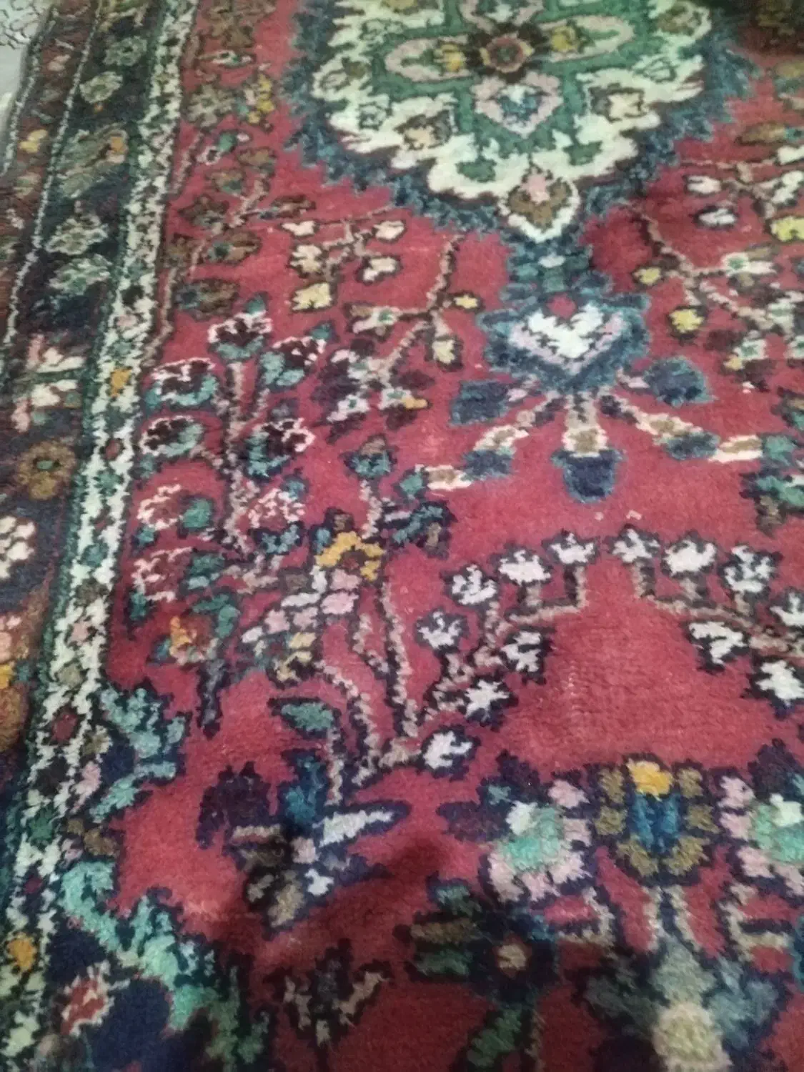 فرش کناره دست باف ناب|فرش|کرمانشاه, |دیوار