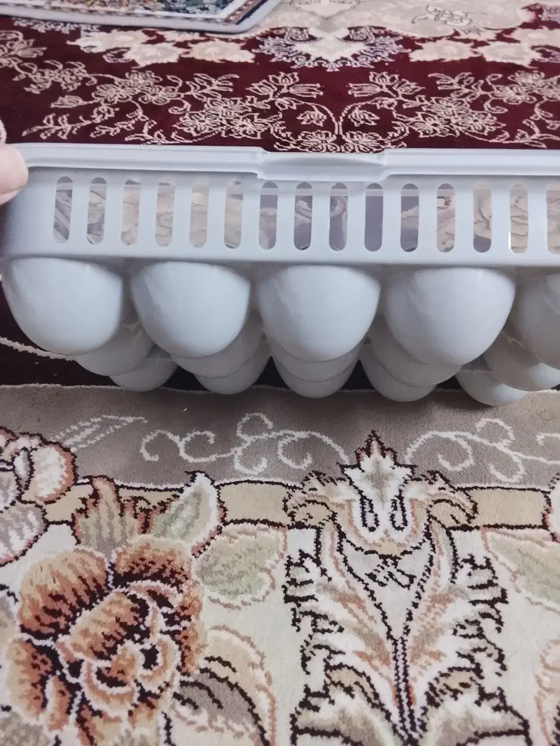 ظرف برای تخم مرغ دو تا نو|ظروف نگهدارنده، پلاستیکی، یک‌بارمصرف|مشهد, گاز|دیوار