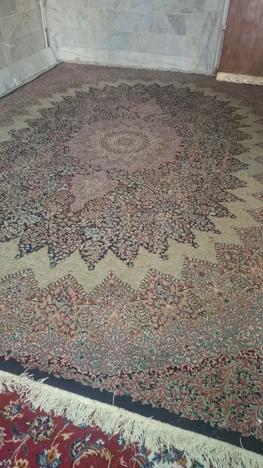 فرش دسته دو الماس کویر|فرش|کرمان, |دیوار