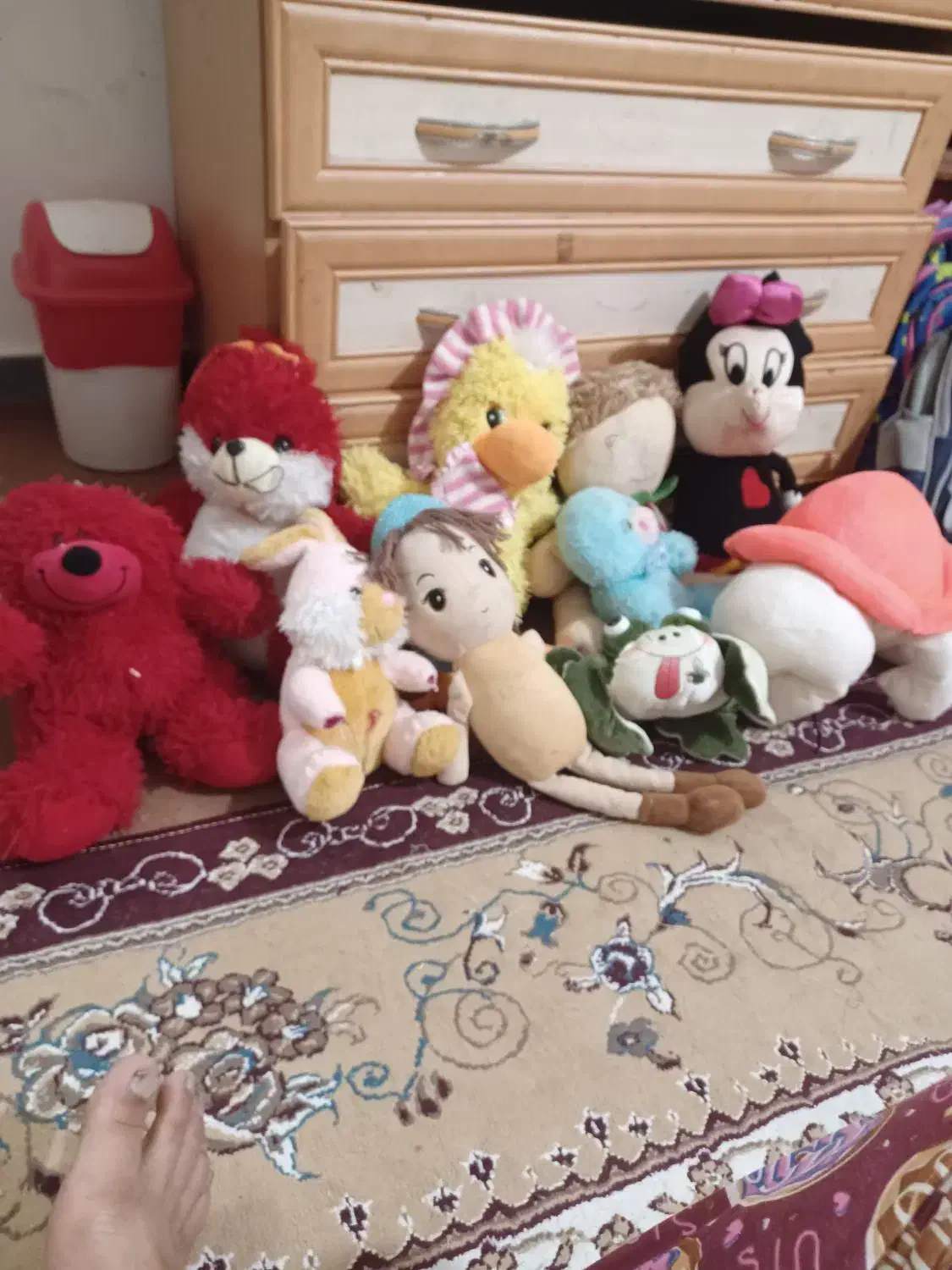 ساک بچه|اسباببازی بچه|بندر کنگان, |دیوار