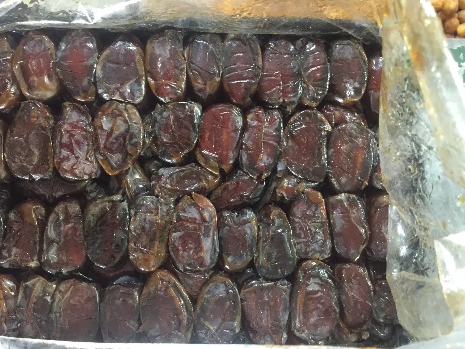 فروش انواع میوه|خوردنی و آشامیدنی|شیراز, اصلاح‌نژاد|دیوار