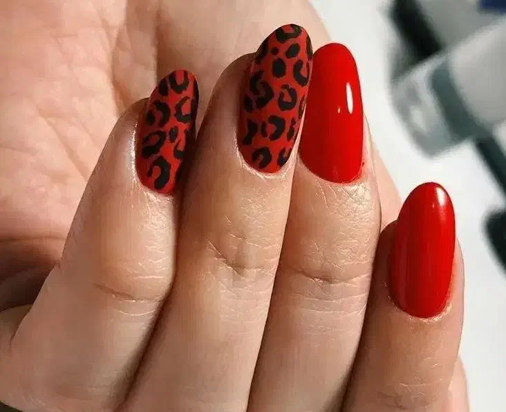 تخفیف ویژه ناخن و کوتاهی مو وعروس|خدمات آرایشگری و زیبایی|نجفآباد, یزدانشهر|دیوار