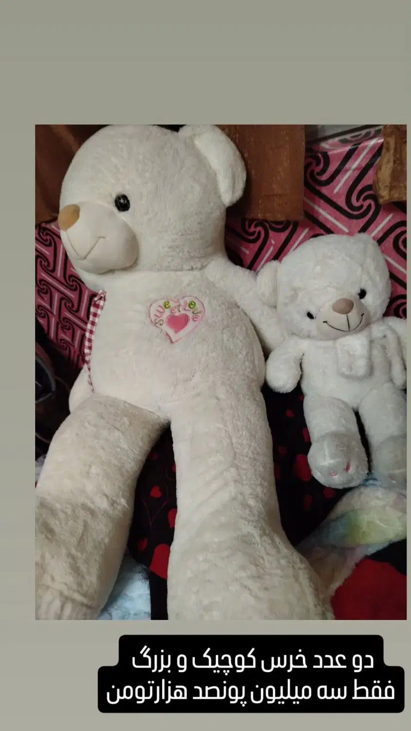 دو عدد خرس کوچک بزرگ|اسباب‌بازی بچه|مبارکه, |دیوار