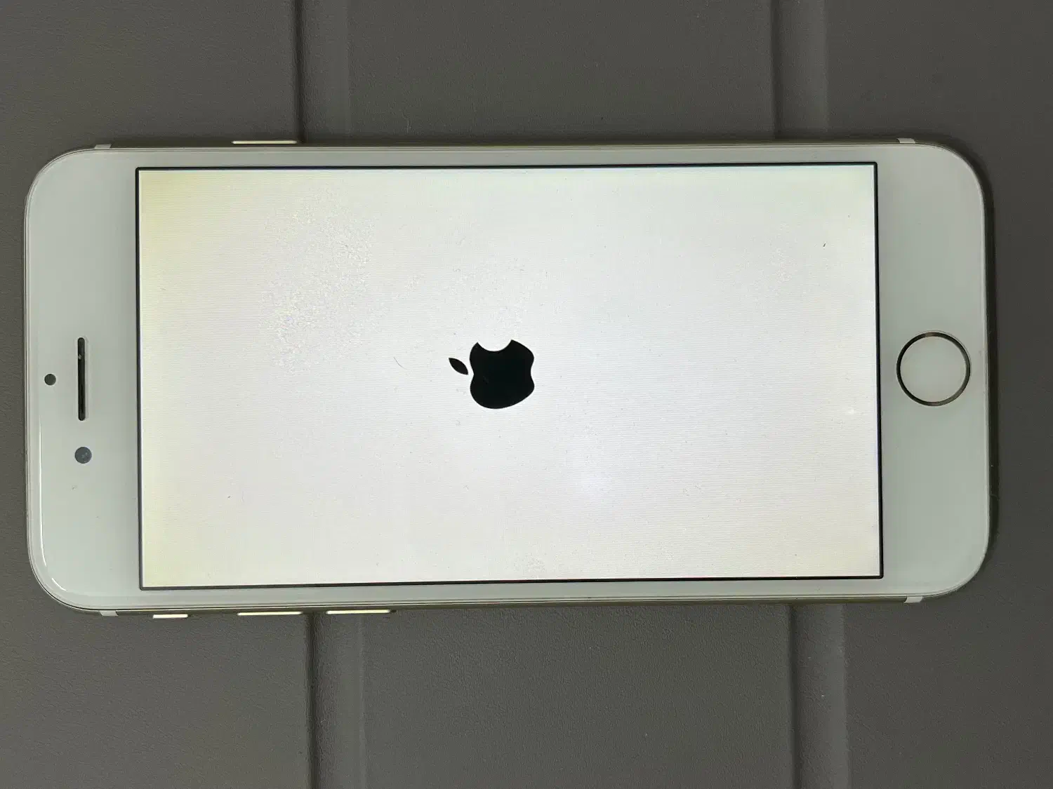 iphone 7|موبایل|کاشان, زیدی|دیوار