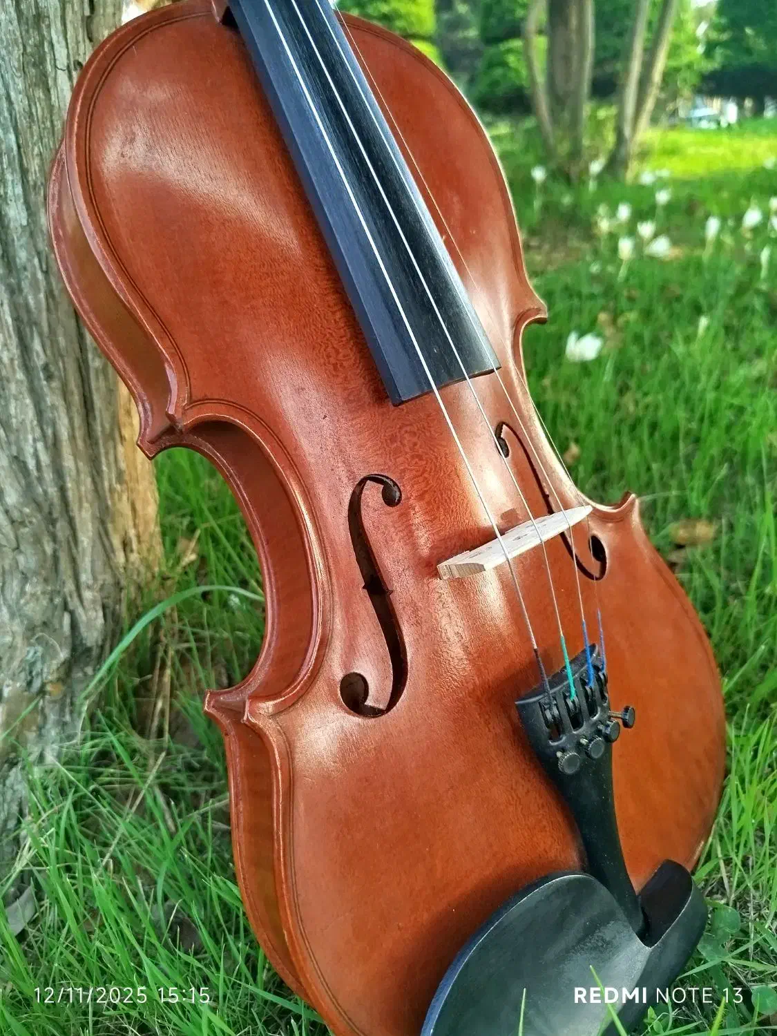 ویالون ،4/4، کارکرد خیلی کم،|ویولن|رامسر, |دیوار