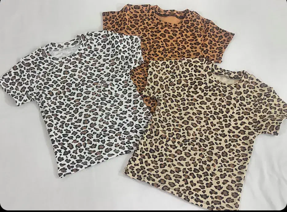 کراپ|لباس|تربت‌حیدریه, شهید قرنی|دیوار