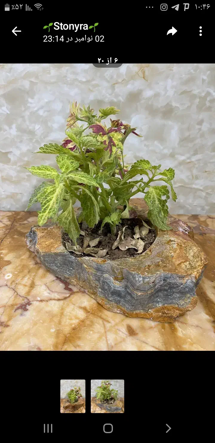 گلدان سنگی|صنایع دستی و سایر لوازم تزئینی|خواف, |دیوار