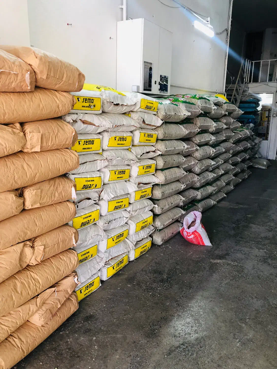 نخود فرنگی اسگارو شرکتی|عمده‌فروشی|گرگان, |دیوار