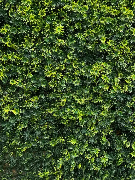 گرین وال با دیوار سبز|گل مصنوعی|رباطکریم, رباطکریم|دیوار