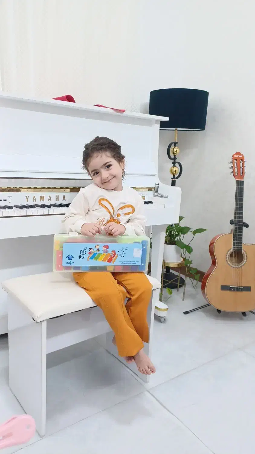 **آموزشگاههای موسیقی سُرنا **|خدمات آموزشی|یزد, |دیوار