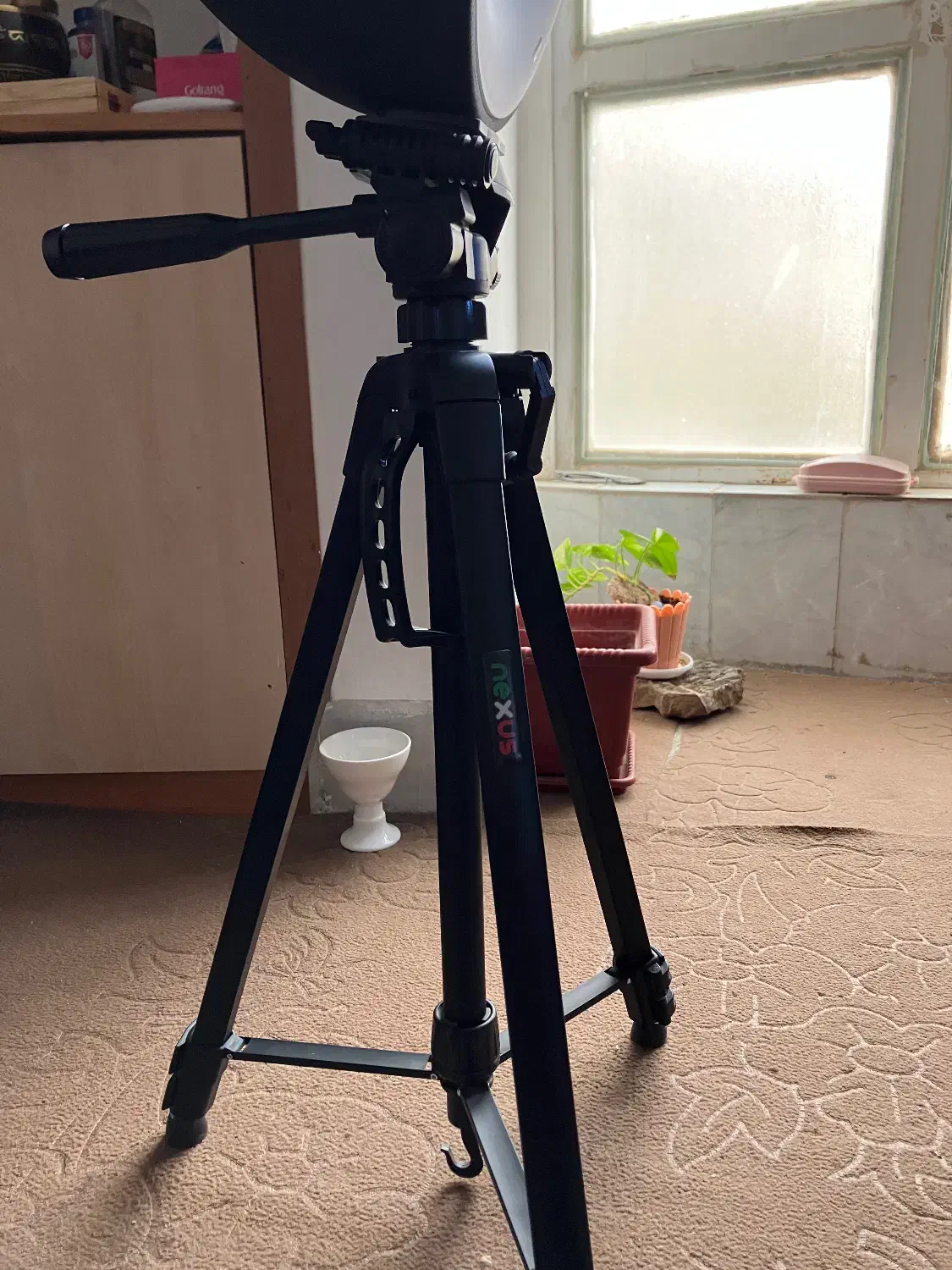 رینگ لایت نکسوس|دوربین عکاسی و فیلمبرداری|تربت جام, فاز ۲ فرهنگیان|دیوار