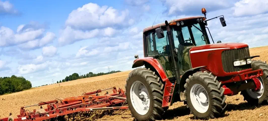 زمین کشاورزی ۱۵هکتار|اجارهٔ دفتر صنعتی، کشاورزی، تجاری|بندر امام خمینی, |دیوار