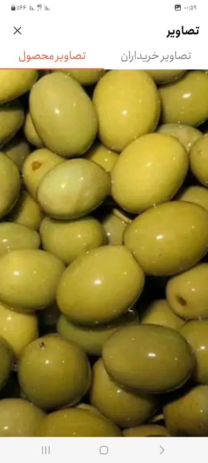 زیتون وکیوم|خوردنی و آشامیدنی|داراب, |دیوار