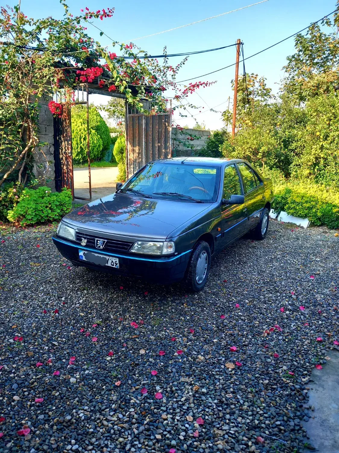 پژوروا مدل ۱۳۸۷ دوگانه شرکتی تست گاز داردوکم کار|خودرو سواری و وانت|کلاچای, |دیوار