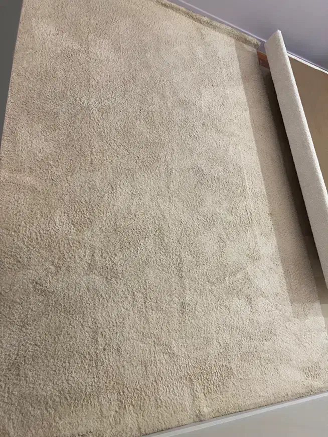 فرش تدی|فرش|تهران, تهرانپارس غربی|دیوار