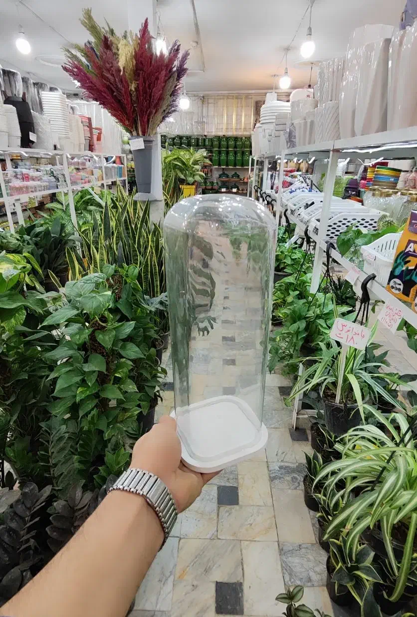 شیشه باکس شیشه آجیل یلدا گلدان تراریوم بامبو چله|گل و گیاه طبیعی|قم, ولیعصر|دیوار