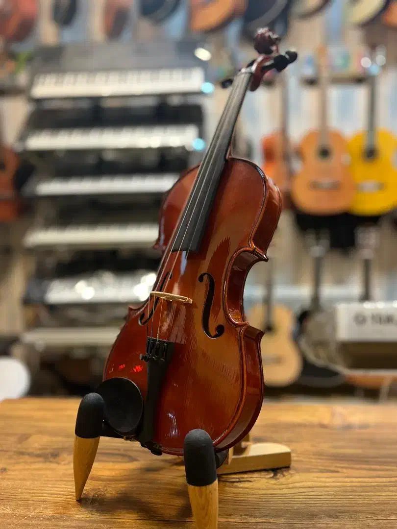 ویولن والنسیا در موزیک ارژنگ|ویولن|پردیس, فاز ۳|دیوار