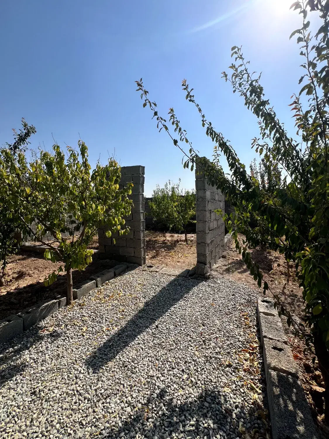 باغ سرسبز و بِکر/۳۱۹ متر،محصور شده|فروش زمین و ملک کلنگی|اسلام‌شهر, شهرک محمدیه|دیوار
