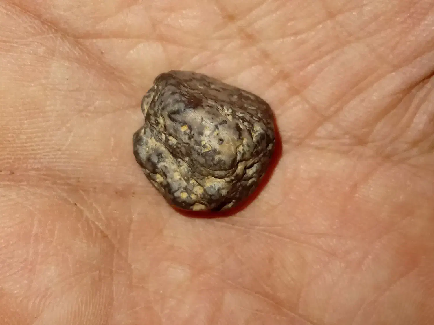 شهاب سنگ و نگین سلطانی اصل|کلکسیون اشیاء عتیقه|شوش, |دیوار