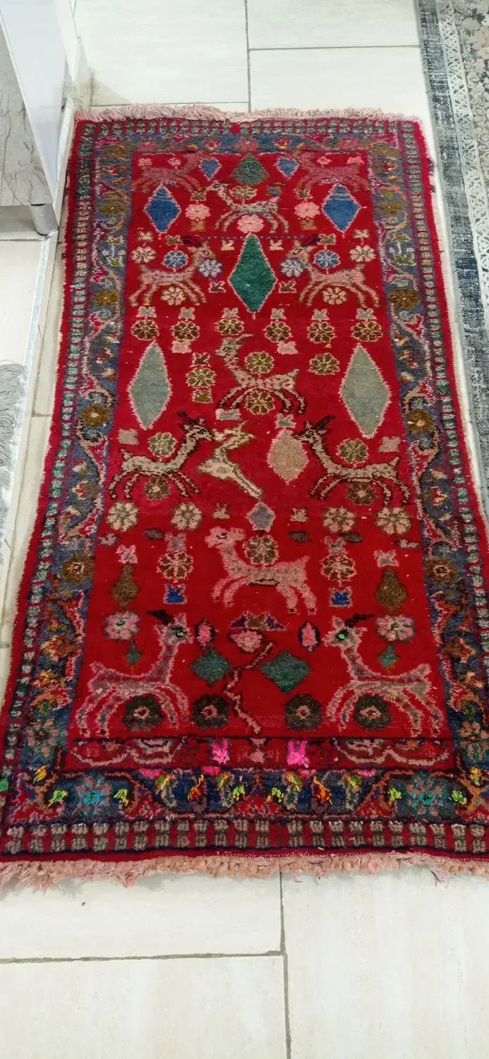 قالیچه دست بافت|فرش|صباشهر, |دیوار