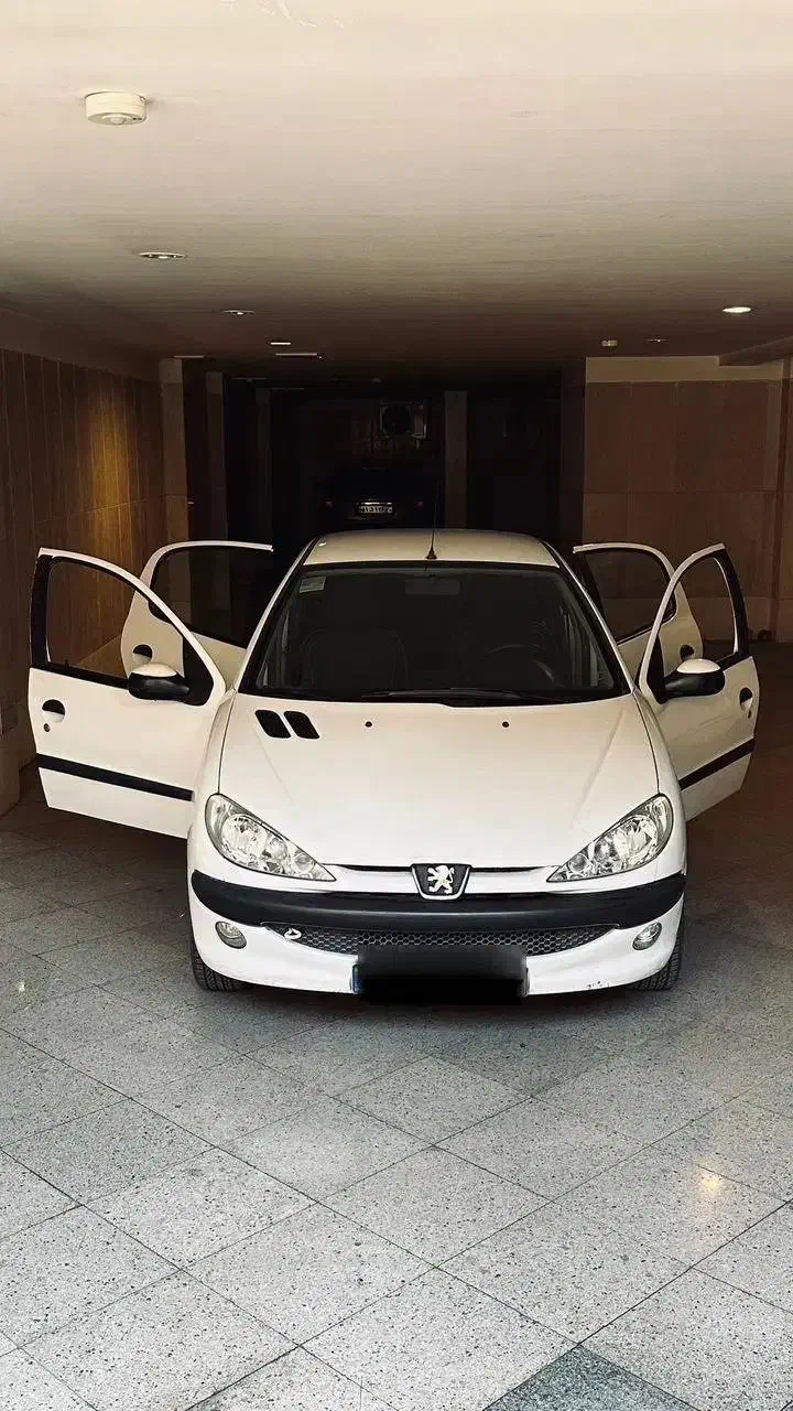 ۲۰۶ موتور فرانسوی فروش سریع|خودرو سواری و وانت|تهران, یوسفآباد|دیوار