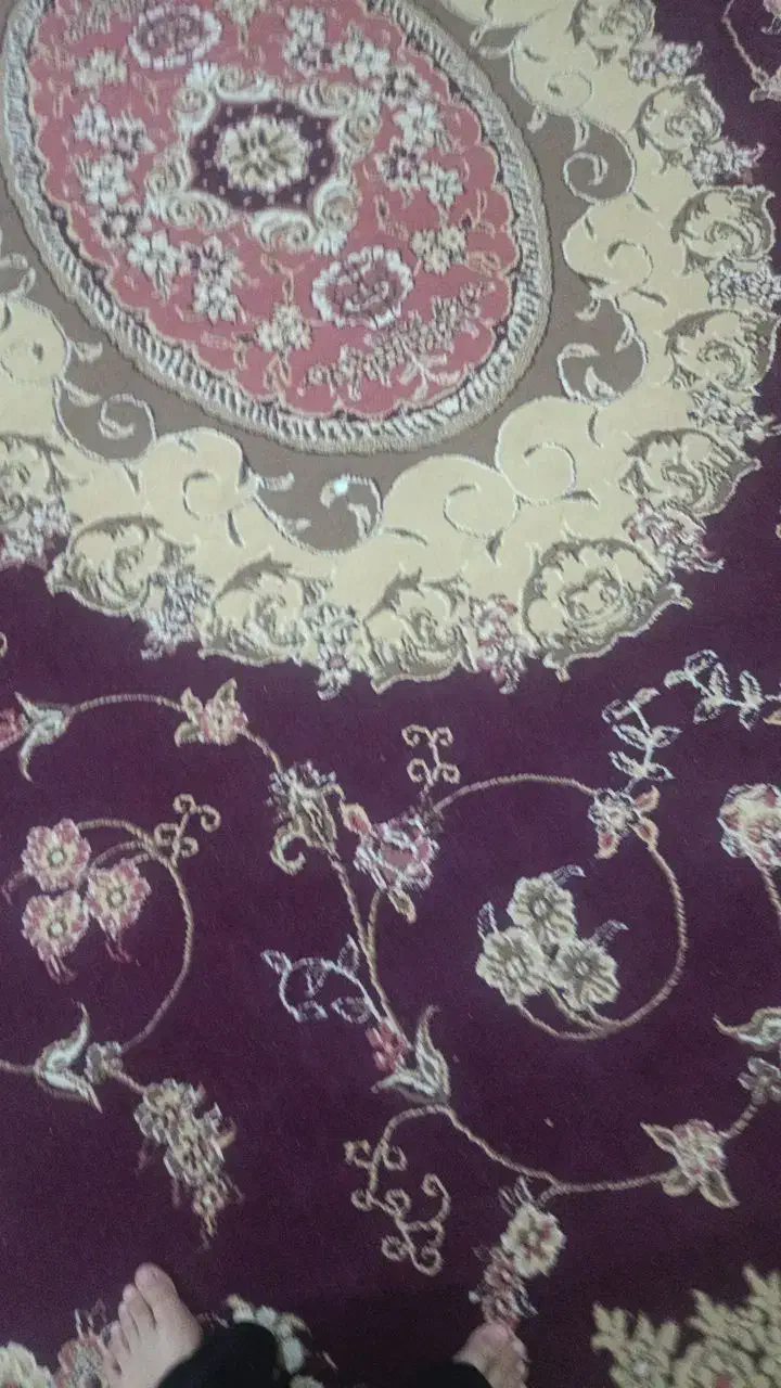 فرش|فرش|رضویه, |دیوار