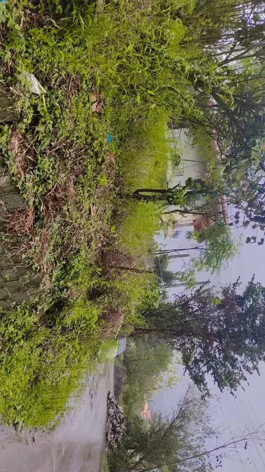 فروشی زمین۲۶۱متر باکاربری مسکونی سند تک برگ|فروش زمین و ملک کلنگی|کلاچای, |دیوار