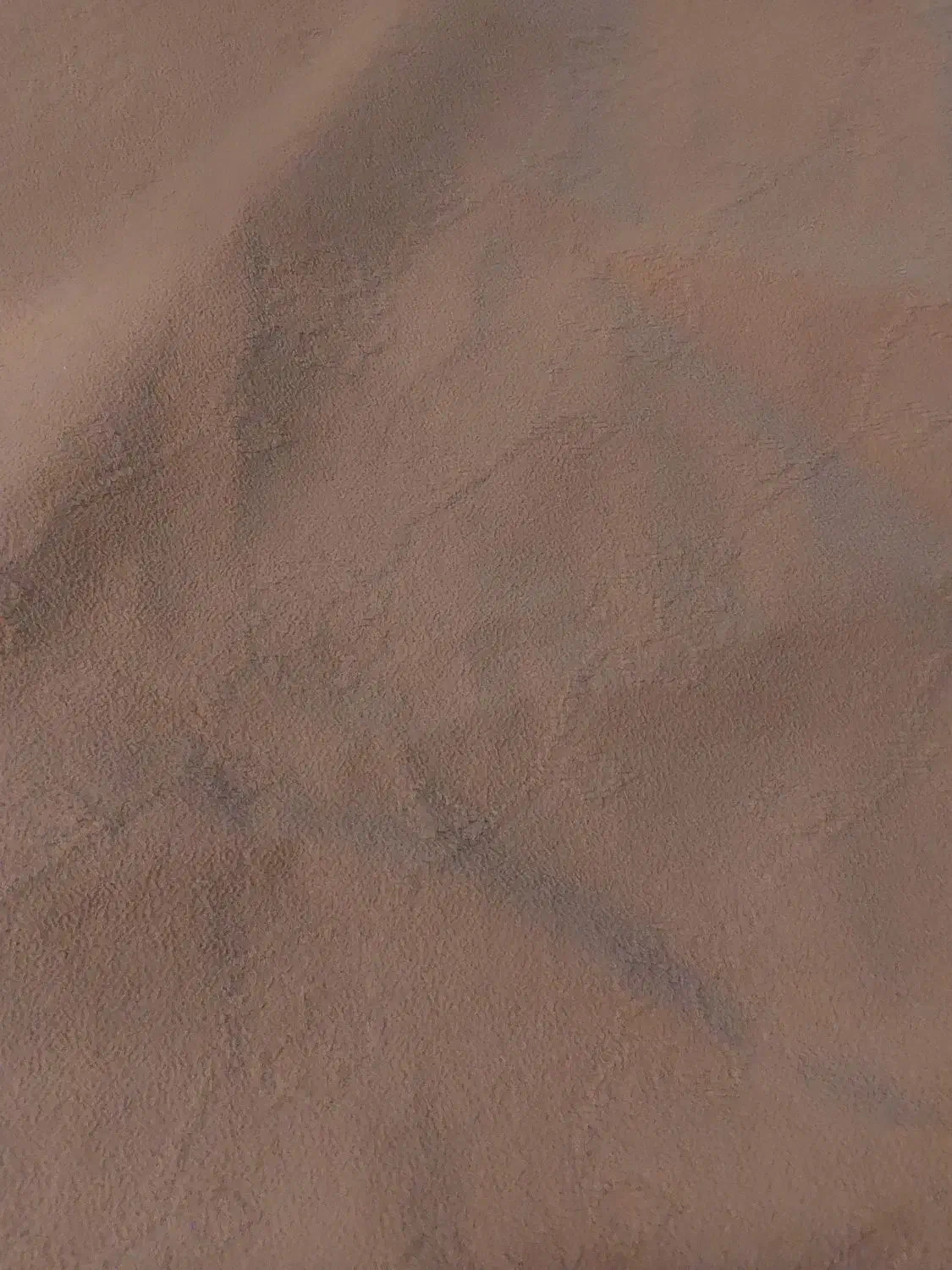 موکت|موکت|مرودشت, بیست متری بیمارستان|دیوار